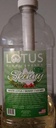 Lotus Plant Energy - Skinny White Lotus